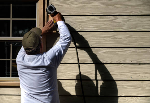 Best Siding Painting and Refinishing  in Geneva, IL